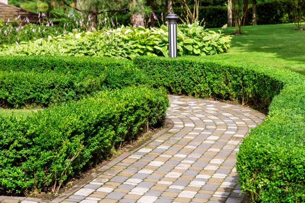 Cost of Paved Landscaping in Mount Juliet