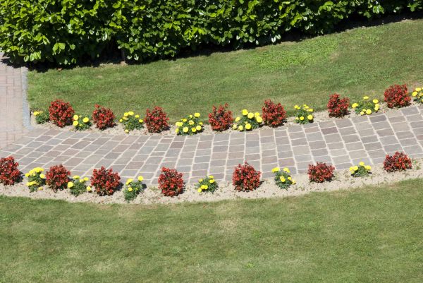 Cost of Garden Paving in Mount Juliet